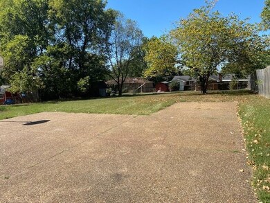 Large level backyard with plenty of parking space