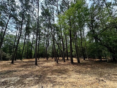 Lot 4 Ranchero Rd, Covington, LA 70435 - photo 5