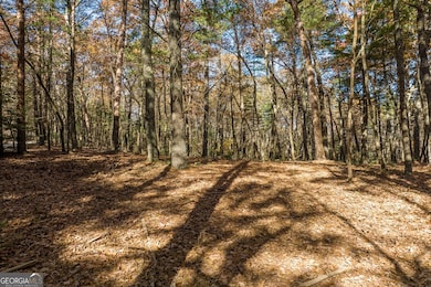 TR 1 Old Anderson Creek, Ellijay, GA 30536 - photo 6