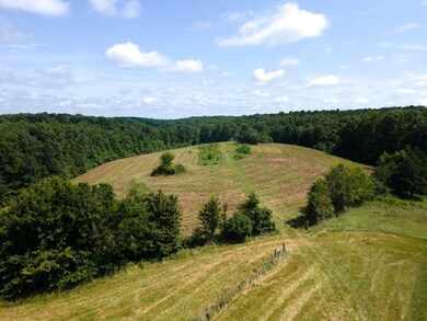 202 Weakley Loop, Ethridge, TN 38456 - photo 7