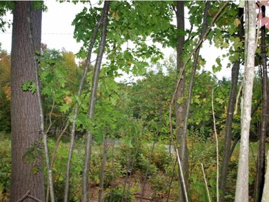 00 Mountain Rd, Dalton, NH 03598 - photo 4