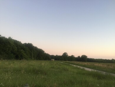 Willow3