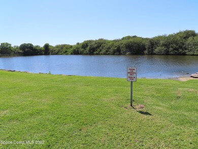 Pond