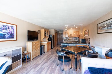 Tamarron Condos unit 302, Durango, CO 81301 - photo 5