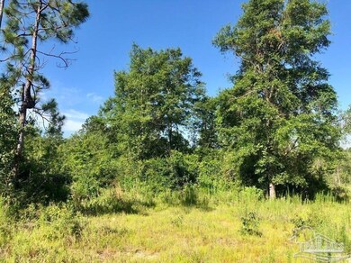 Lot 17 BS Buffalo Ridge Rd, Pace, FL 32571 - photo 7
