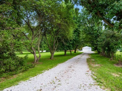 TREE-LINED DRIVEWAY