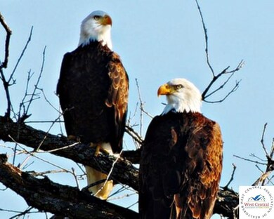 Lot 1122 Roberts Place unit E-1 Forbes Lake, Edwards, MO 65326 - photo 3