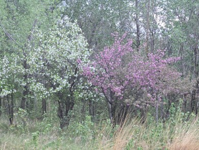 12916 250th Ave NE, Goodridge, MN 56725 - photo 5