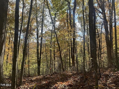 150 Little Branch Rd, Flag Pond, TN 37657 - photo 3