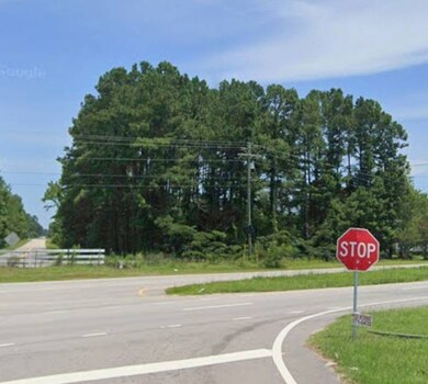 0 Hwys 301 & S-38-82 70 09910024 unit 11418779, Santee, SC 29142 - photo 4