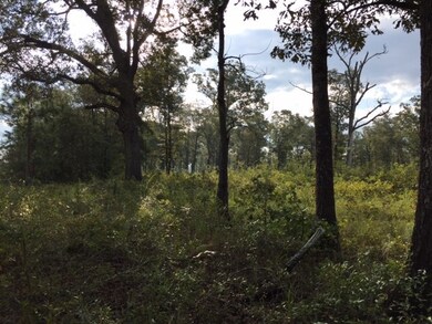 x Morris Rd, Camilla, GA 31730 - photo 7