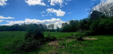 unnamed (17)