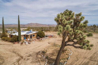 7637 La Contenta Rd, Joshua Tree, CA 92252 - photo 2