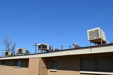DSC_0987