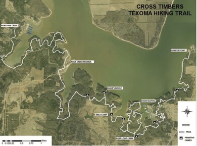 432 Medallion Club, Gordonville, TX 76245 - photo 5