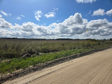 0 Blewer, Cope, SC 29038 - photo 3