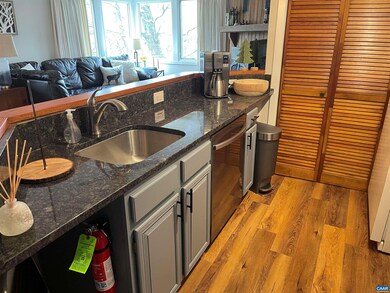 2114 Fairway Woods, Wintergreen Resort, VA 22967 - photo 5