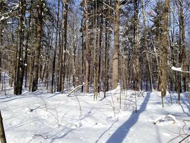 XXX County Hwy B, Hayward, WI 54843 - photo 7