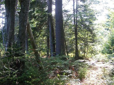 Land. Still some wood on property.