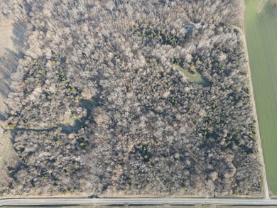 000 County Highway 7, Cisne, IL 62823 - photo 7