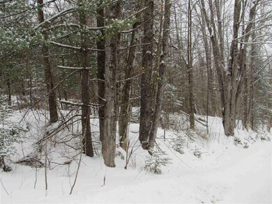 0 Broomstick Hill Rd unit 4793244, Littleton, NH 03561 - photo 6