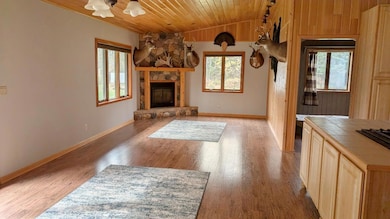 1637 Wakely Rd, Cook, MN 55723 - photo 3