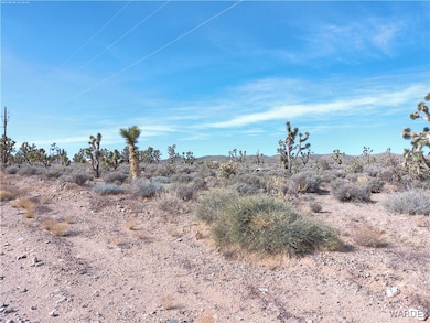 26225 Hummingbird Ln, Meadview, AZ 86444 - photo 4