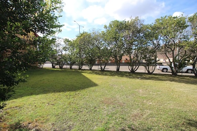 Front yard