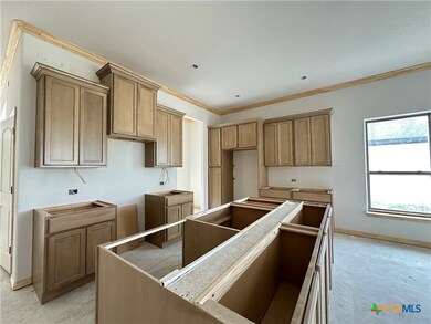 220 Desert Holly Dr, Temple, TX 76502 - photo 5