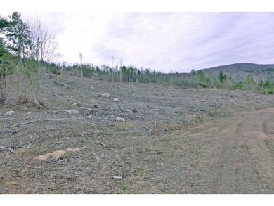 View From Top of Lot 7