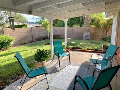PATIO AND YARD