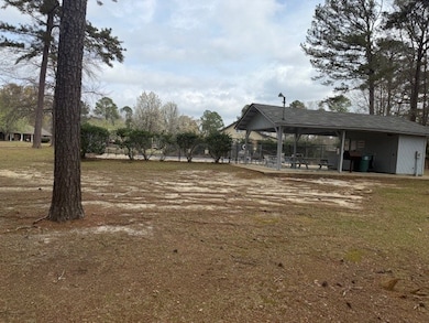 0 Newmont & Irwinton Dr unit 27243, Eufaula, AL 36027 - photo 3