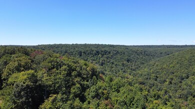 0 Daus Rd unit 1505966, Dunlap, TN 37327 - photo 5