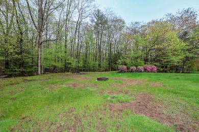 HUGE Backyard For Entertaining & Escaping