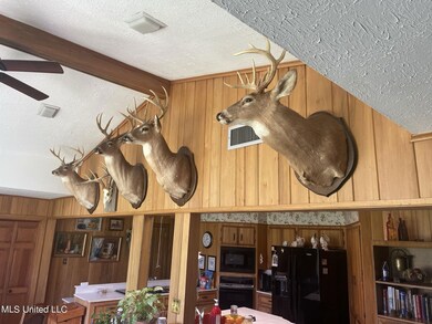 13137 Old Port Gibson Rd, Utica, MS 39175 - photo 6