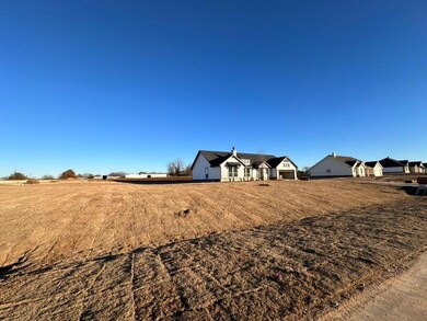 111 Brush Creek Dr, Boyd, TX 76023 - photo 3