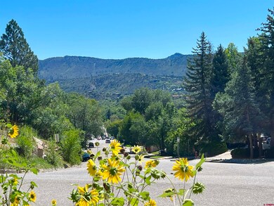 3201 W 4th Ave, Durango, CO 81301 - photo 4