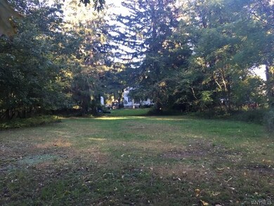 Backyard facing the house