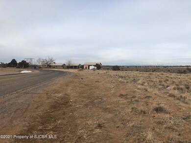 NYA Road 3775, Farmington, NM 87401 - photo 3