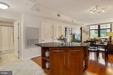 Clarendon 1021 unit 315, Arlington, VA 22201 - photo 3