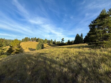 NHN Lot 21 Mountain Moose Rd, Philipsburg, MT 59858 - photo 6