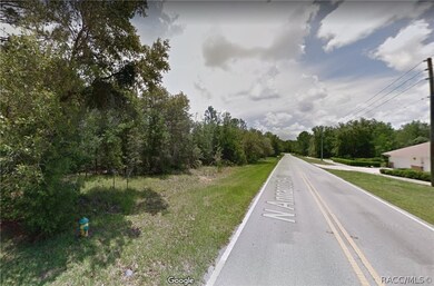 1217 N Annapolis Ave, Hernando, FL 34442 - photo 6