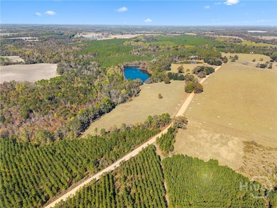 2001 Tru Fail Crossing Rd, Garfield, GA 30425 - photo 7