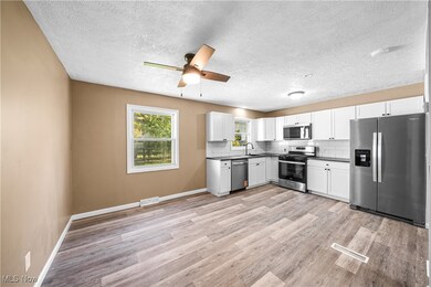 9130 Elm Cir, Windham, OH 44288 - photo 4