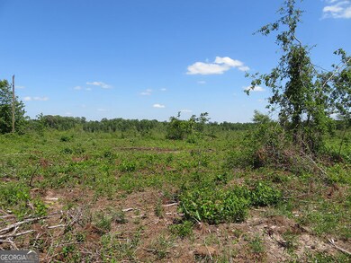 0 Goolsby Rd, Ellaville, GA 31806 - photo 6