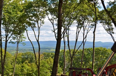 unlisted-address, Egremont, MA 12529 - photo 7