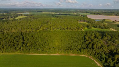 0 Sam Sells Rd, Moultrie, GA 31768 - photo 7