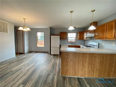 6301 N Elliston Trowbridge Rd, Martin, OH 43445 - photo 4