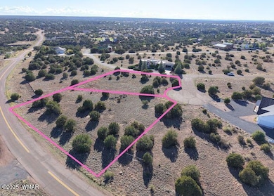 8455 W Yucca Place, Show Low, AZ 85901 - photo 5