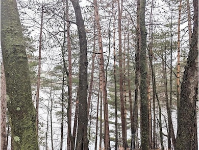 Lot 26 10th Ave, Chetek, WI 54728 - photo 7